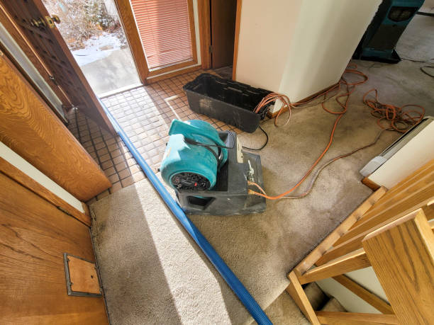 Best Basement water damage restoration  in Omao, HI