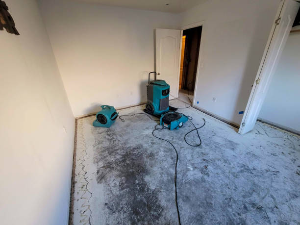 Water damage restoration process in Omao, HI