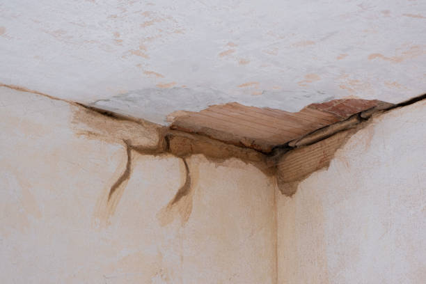 Best Flood restoration services  in Omao, HI
