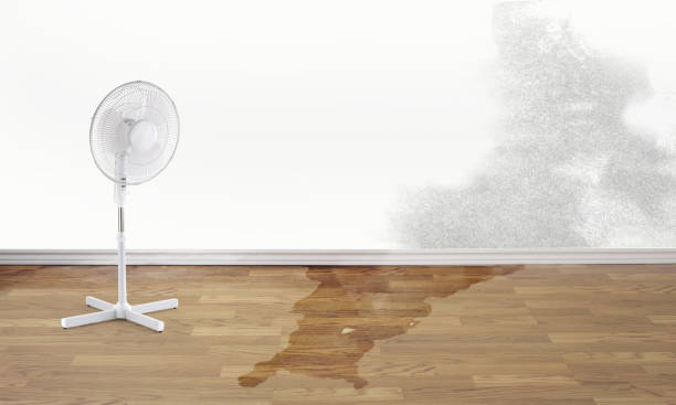 Local water damage restoration in Omao, HI