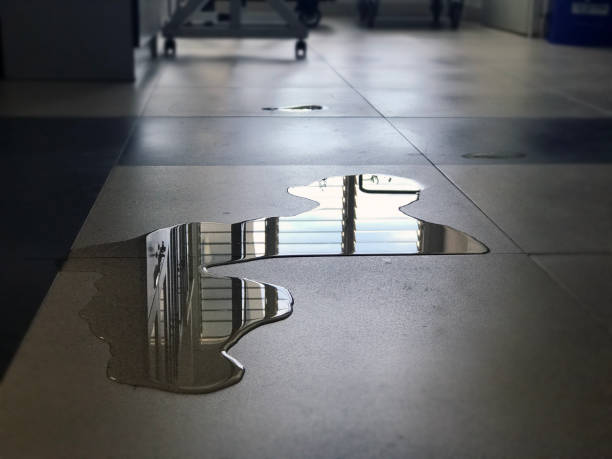Best Water damage cleanup near me  in Omao, HI