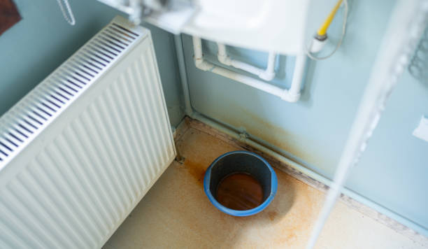 Best Water damage contractors near me  in Omao, HI