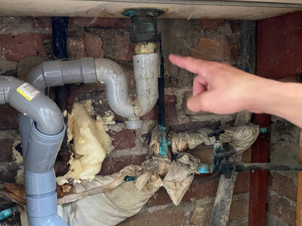 Best Water damage restoration process  in Omao, HI