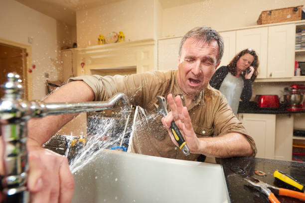 Best Flood restoration services  in Omao, HI